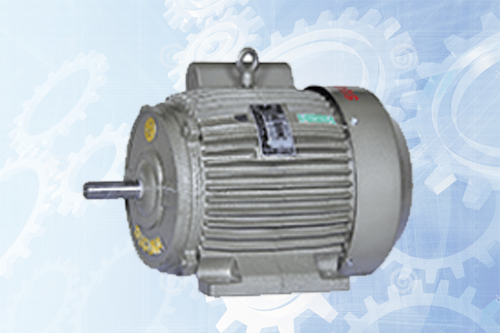 Suguna Electric Motors Dealers Chennai